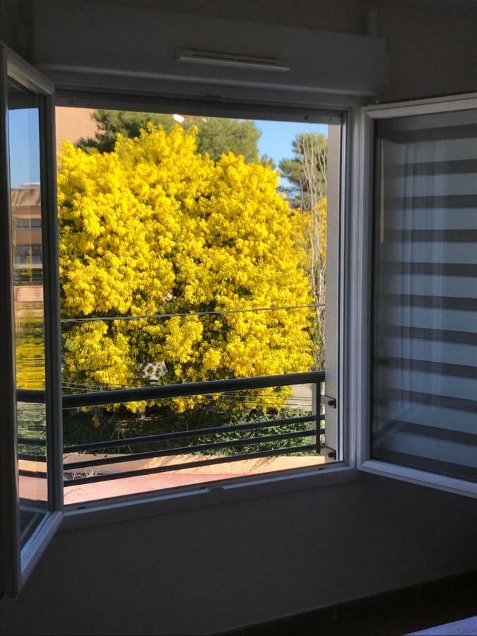 Appart' Au Port Leilighet Fréjus Eksteriør bilde